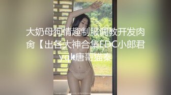 大奶母狗情趣制服调教开发肉肏【出各大神合集EDC小郎君yqk唐哥猫秦