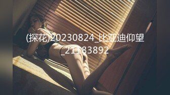 (探花)20230824_比亚迪仰望_21183892