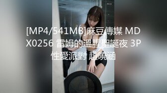 [MP4/541MB]麻豆傳媒 MDX0256 雷姆的溫腥聖誕夜 3P性愛派對 趙曉涵