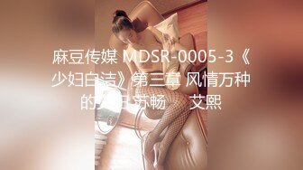 麻豆传媒 MDSR-0005-3《少妇白洁》第三章 风情万种的少妇 苏畅❤️艾熙