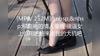 [MP4/ 252M]&nbsp;&nbsp;和白嫩的情人偷腥 骚逼女上位用肥鲍来夹我的大机吧