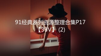 91经典系列资源整理合集P17【33V】 (2)