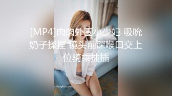 [MP4]肉肉外围小少妇 吸吮奶子揉捏 镜头前深喉口交上位骑乘抽插