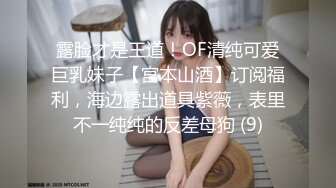 露脸才是王道！OF清纯可爱巨乳妹子【宫本山酒】订阅福利，海边露出道具紫薇，表里不一纯纯的反差母狗 (9)