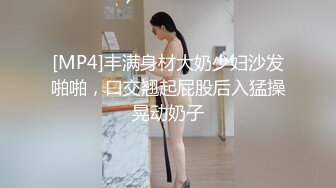 [MP4]丰满身材大奶少妇沙发啪啪，口交翘起屁股后入猛操晃动奶子